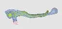450rally brems und kupplungshebel 2 Finger render.webp