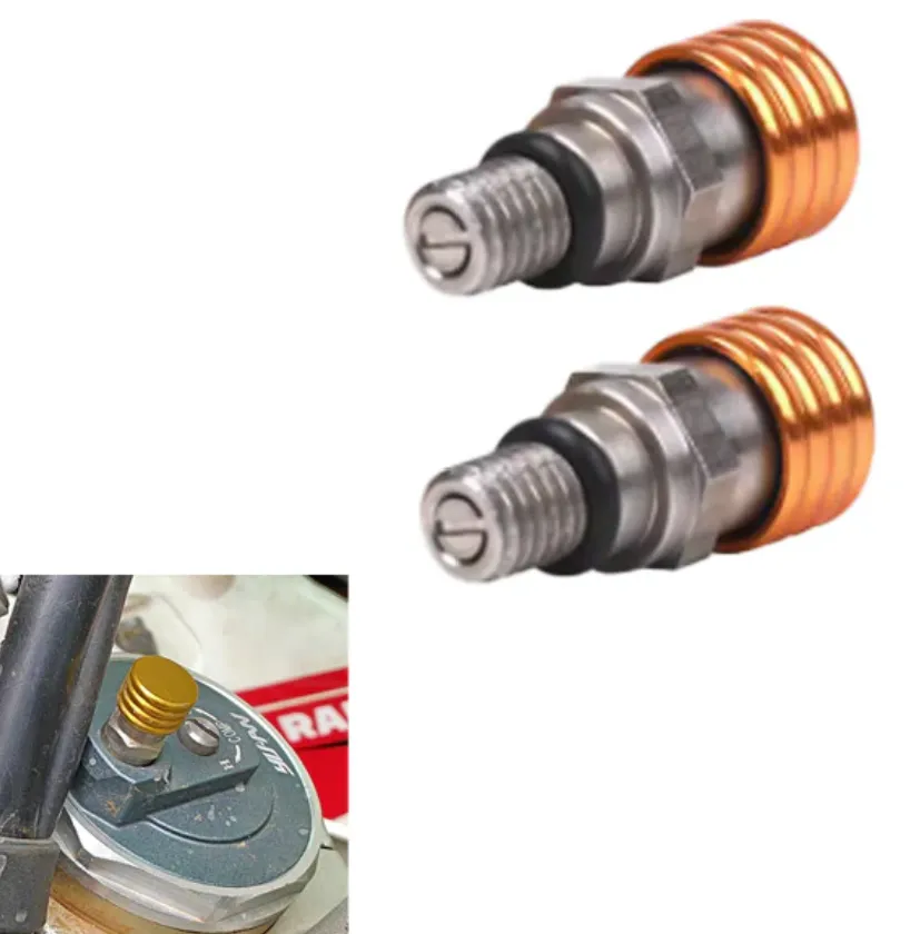 Gabelentlüftungsventil